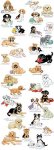 (image for) Encyclopedia Of Puppies